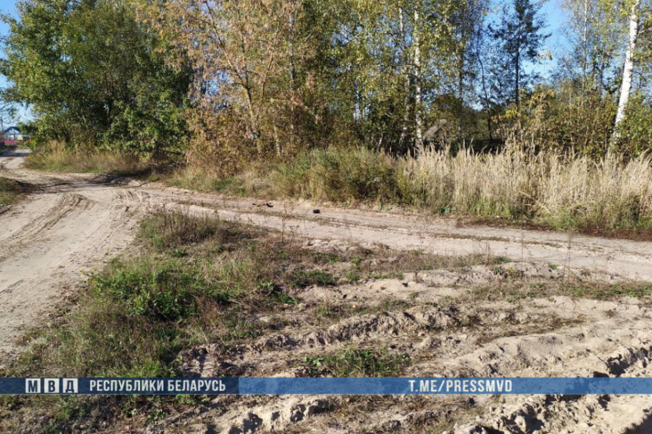 В Петриковском районе под колесами грузовика погиб пятилетний мальчик (3).jpg