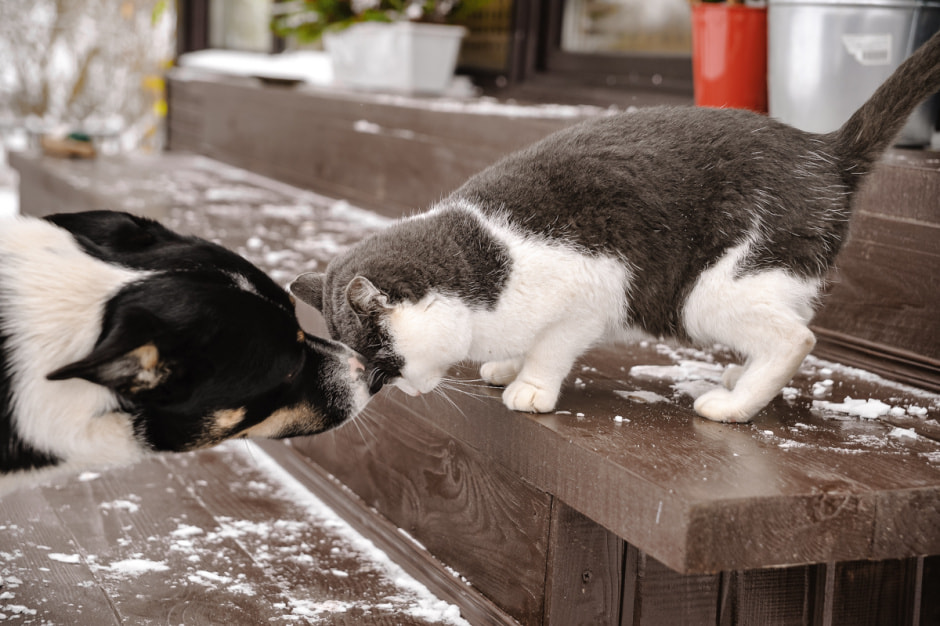 Хутор Скрабатуны 17-1.jpg