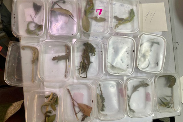 Экзотические животные 2.jpg