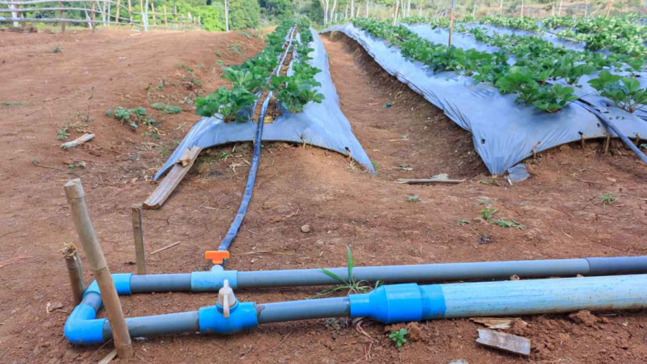 Полив на даче 