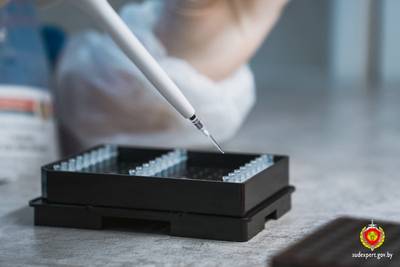 экспертиза днк.jpg