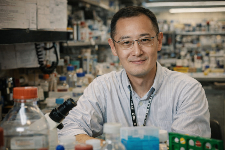 Японский биолог Синья Яманака