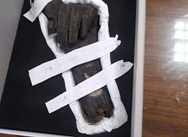 Рука мумии, амулет анкх и погребальная маска: Египет вернул утраченные артефакты 