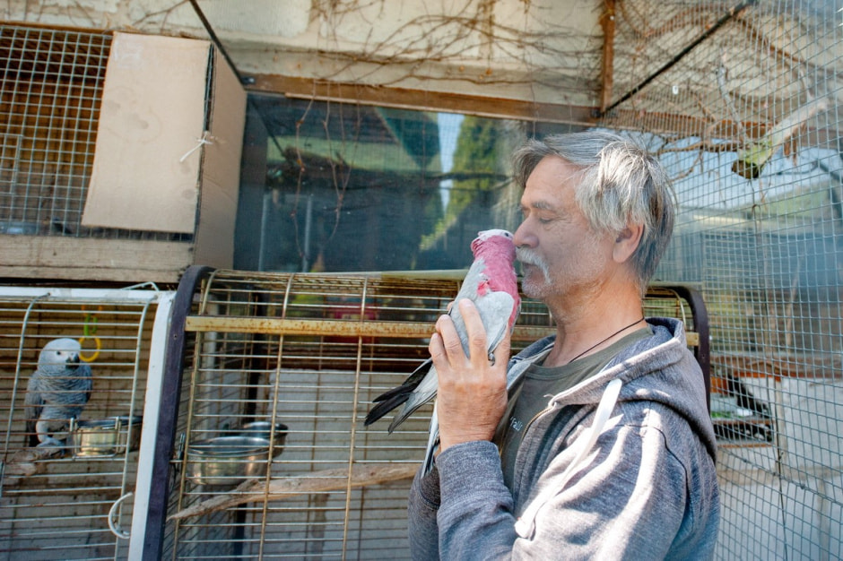 Семья Шокало и экзотический сад 21.jpg