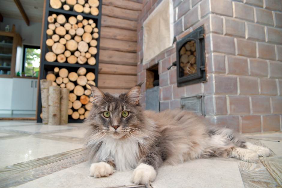 Белоруска в Шеметово 16.png