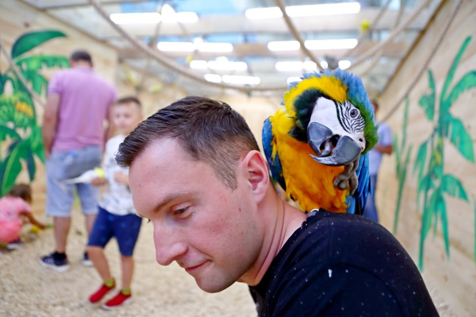 Попугайня в Витебске 11.jpg