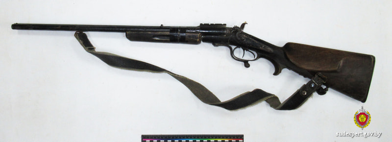 ружье.jpg