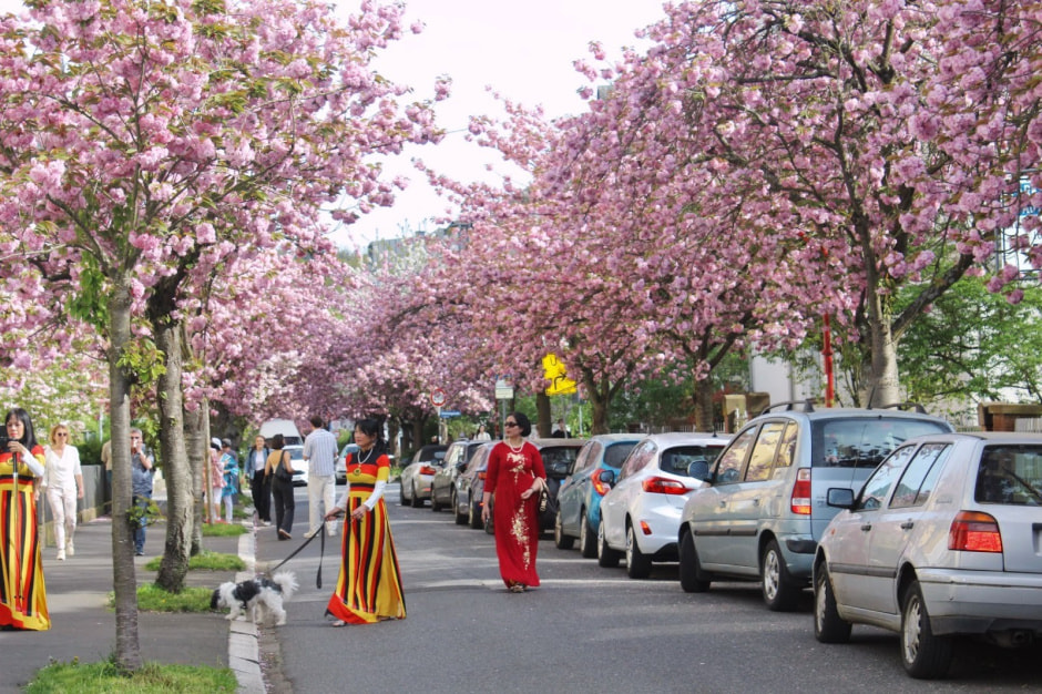 Ханами Марбург 11.jpg