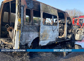 Под Дрогичином авто загорелось прямо на трассе – всё закопчено