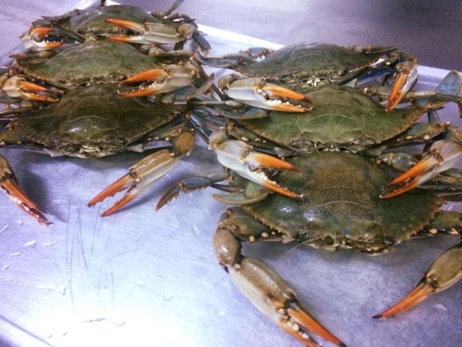 крабы.jpg