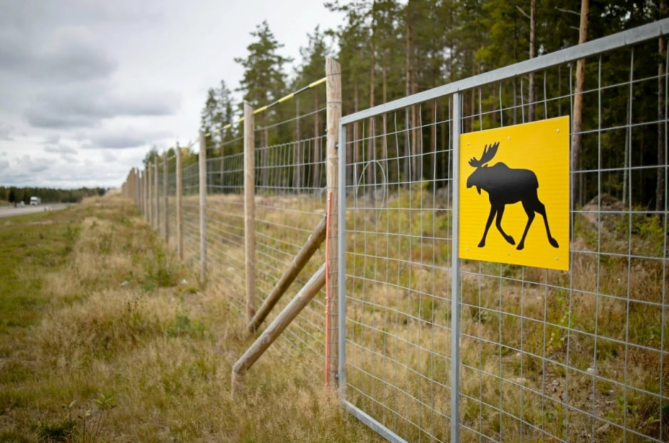 Экодуки и тоннели для животных 8.jpg