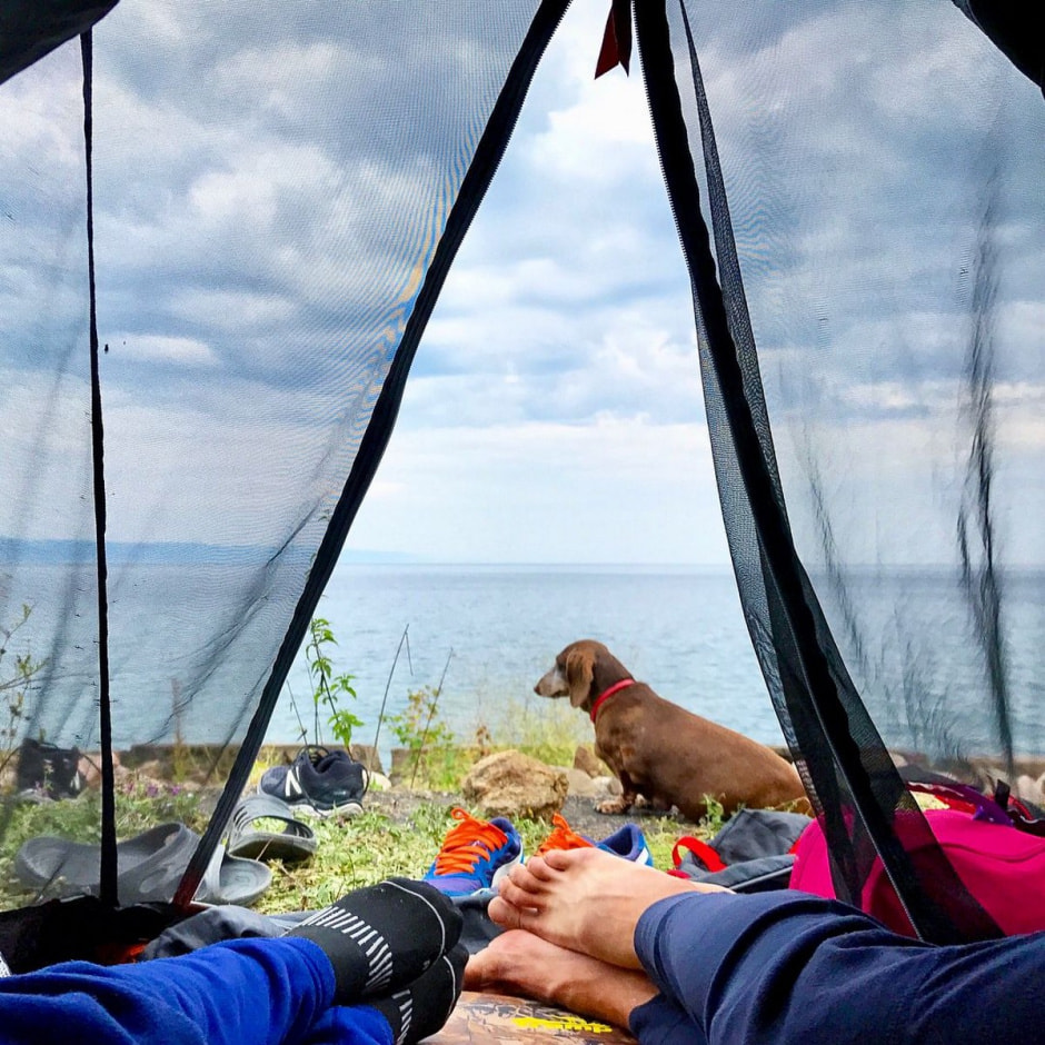 Современные кочевники и фильм Поехавшая 2.jpg