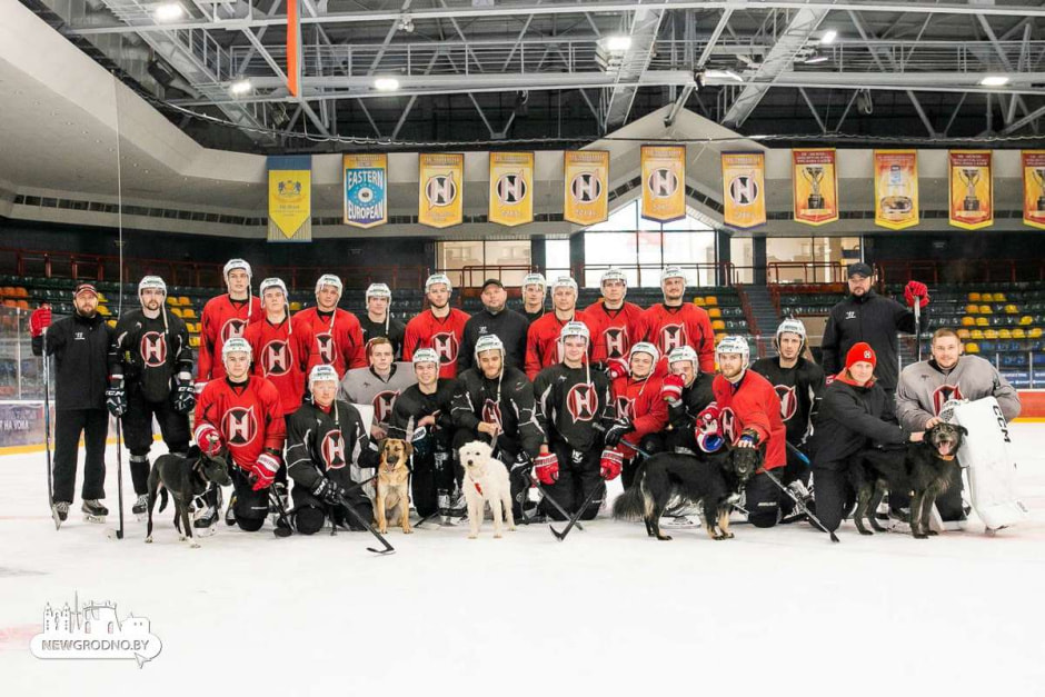 неман собаки.jpg