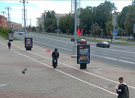Разогнался до 60 км/ч на моноколесе? В Минске нашли “гонщика” с проспекта Независимости