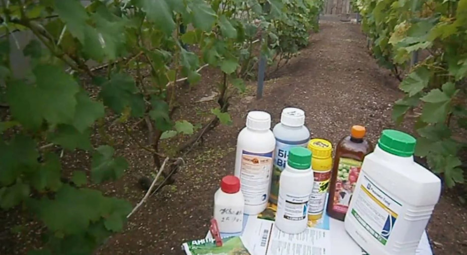 биопрепараты4.jpg биопрепараты4.jpg