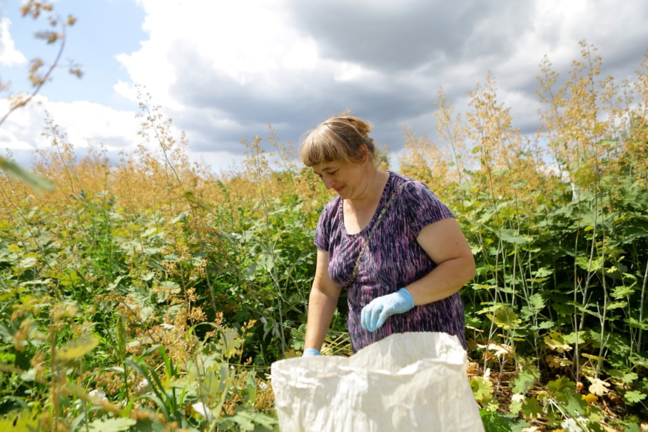 Фиточаи Калина 10.jpg