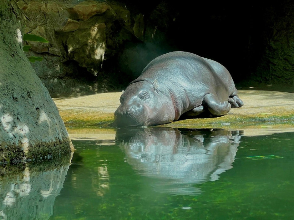 Берлинский зоопарк 15.jpg