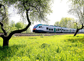 БЖД на 24 дня запустит 44 дополнительных поезда по Беларуси и за границу – рейсы на праздники