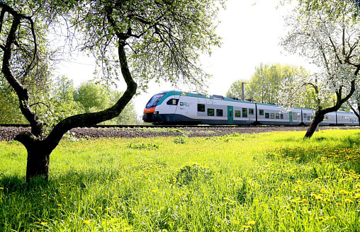 БЖД на 24 дня запустит 44 дополнительных поезда по Беларуси и за границу – рейсы на праздники