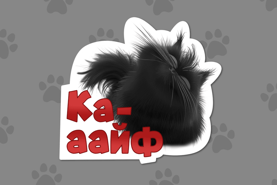 Смарткотик 2.png