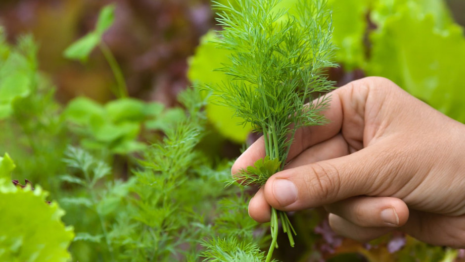 photo_2025-08-01_15-25-36 (2).jpg photo_2025-08-01_15-25-36 (2).jpg