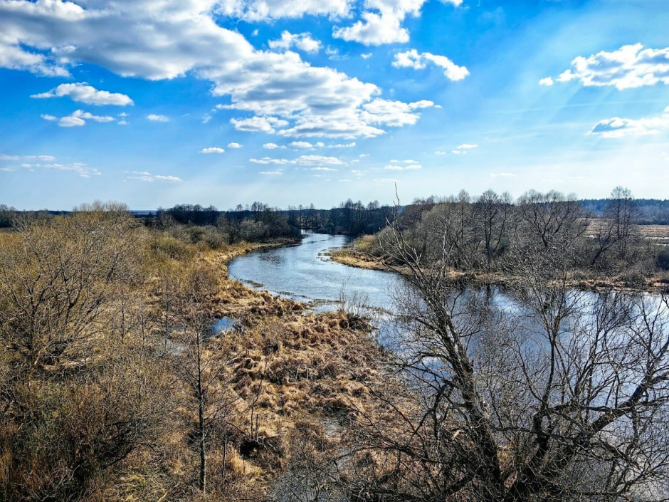 32-Вид со смотровой вышки в урочище Залазы.jpg