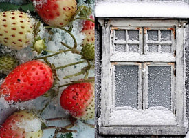 Сильный мороз -11°C всколыхнул Беларусь – где именно апрель испытал на прочность?