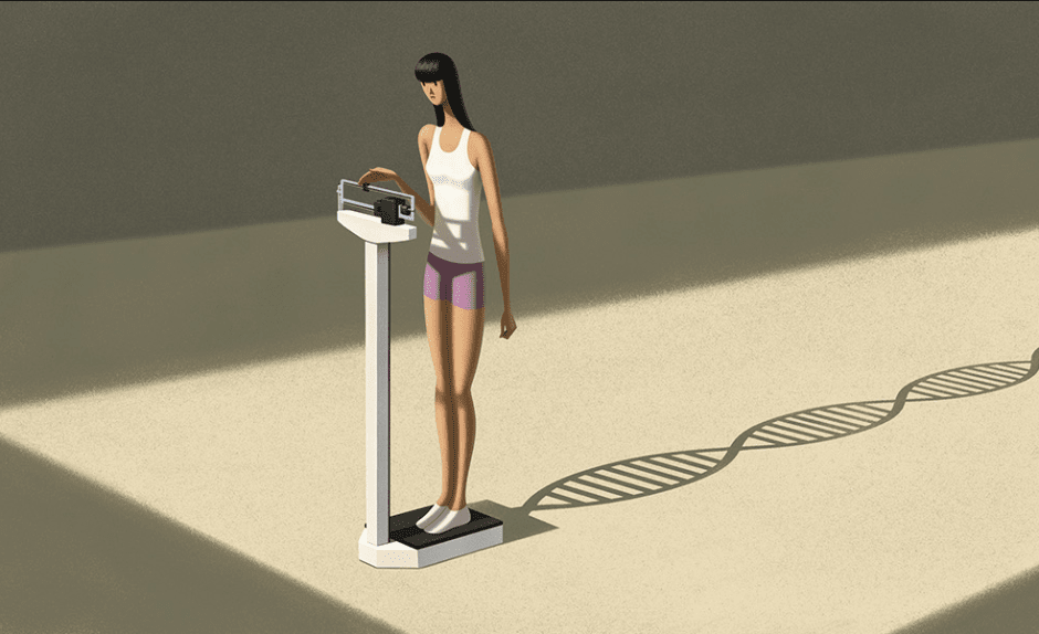 почему люди худеют почему люди худеют