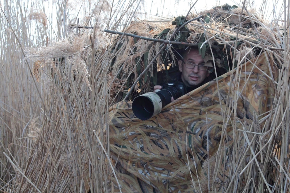 Факты о енотовидной собаке 1_Виталий Кощеев.jpg