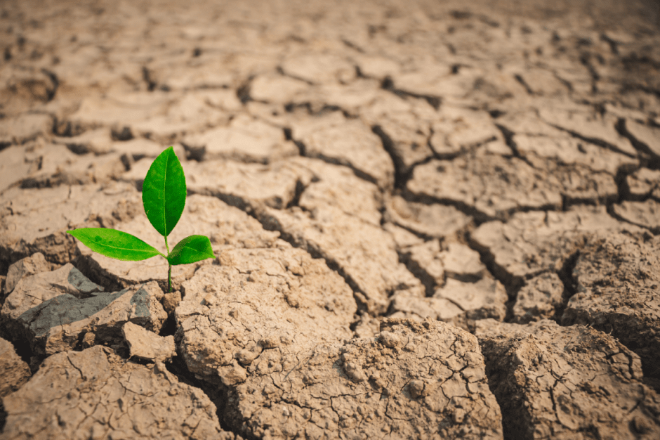 засуха-земля