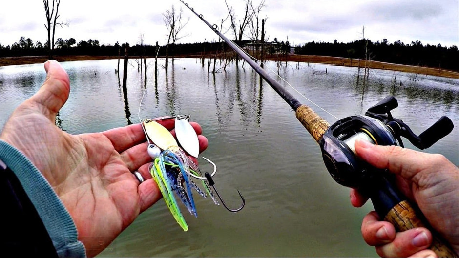 Новшества июня 6.jpg