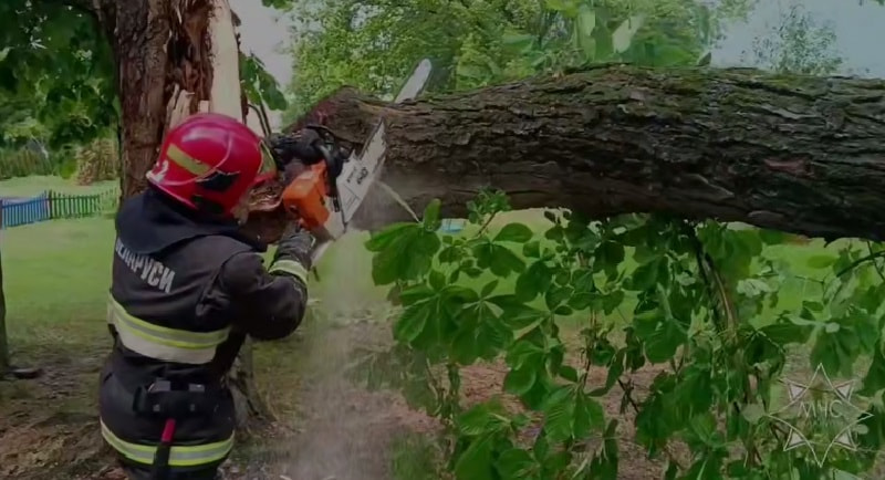 МЧС, распил дерева.jpg