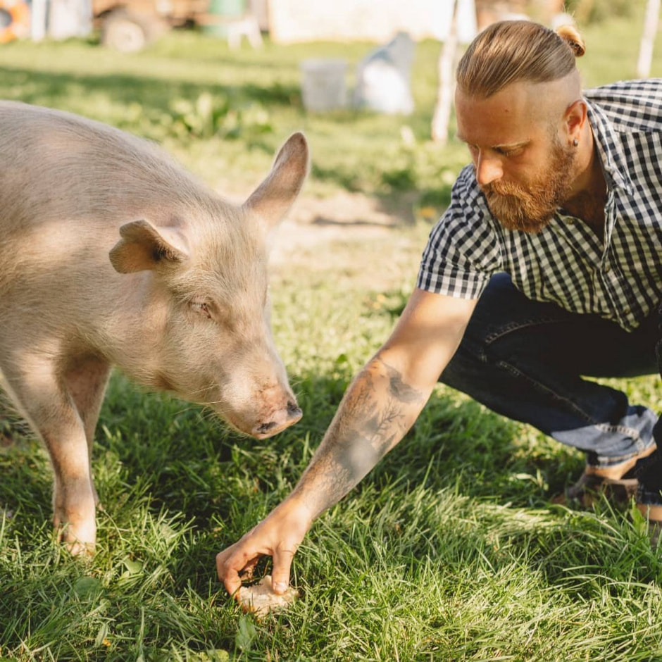 Спасение животных проект Земляне 1.jpg