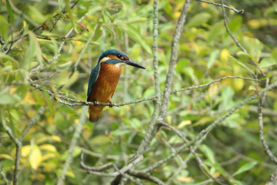 Сергей Резов и бердвотчинг 14.jpg