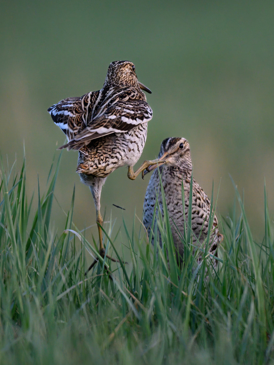 Битва за любовь (1).jpg