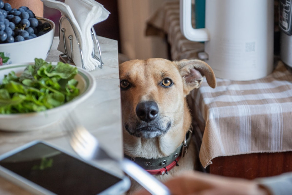 Парень ищет жену в деревне 4.jpg