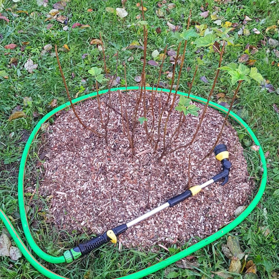 Влагозарядный полив 3.jpg