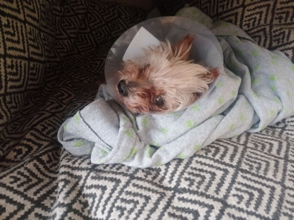 монстрик.jpg монстрик.jpg