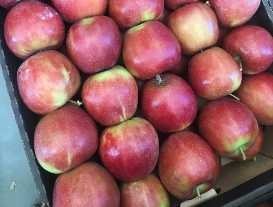 Ясное яблоки