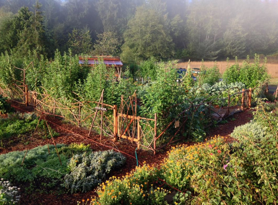 photo_2025-11-07_17-27-26.jpg photo_2025-11-07_17-27-26.jpg