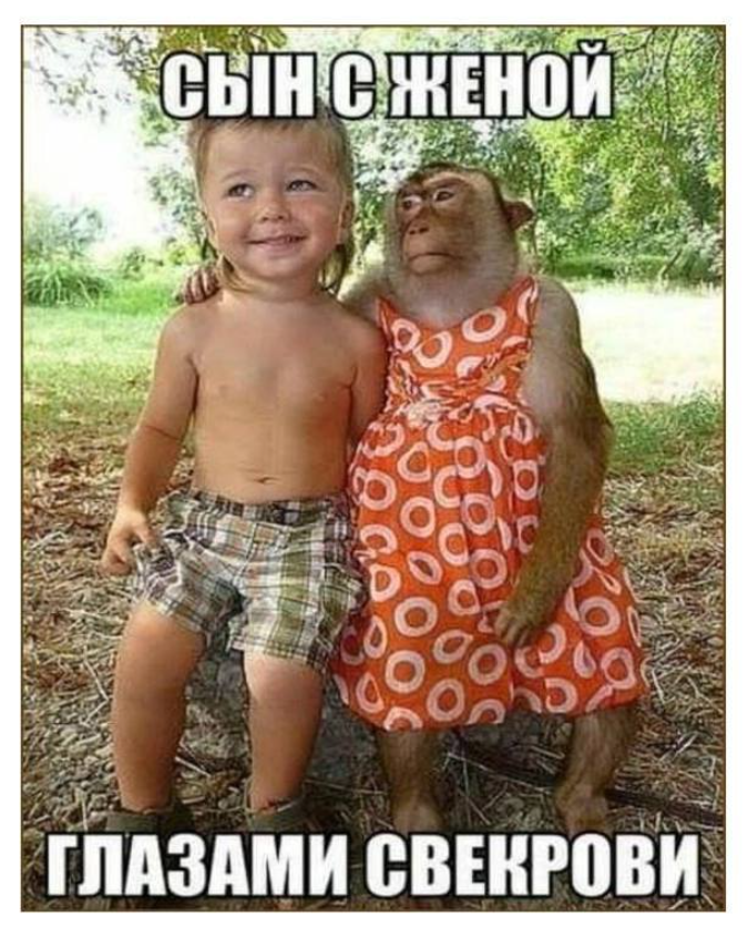 сын с женой