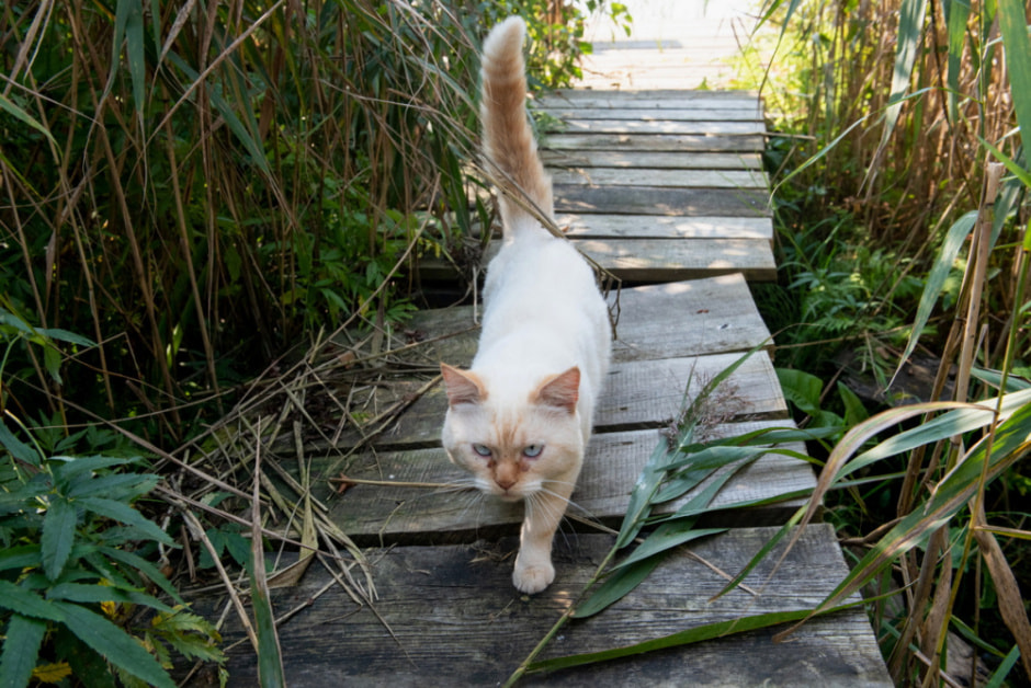 Сотниковы 22.jpg