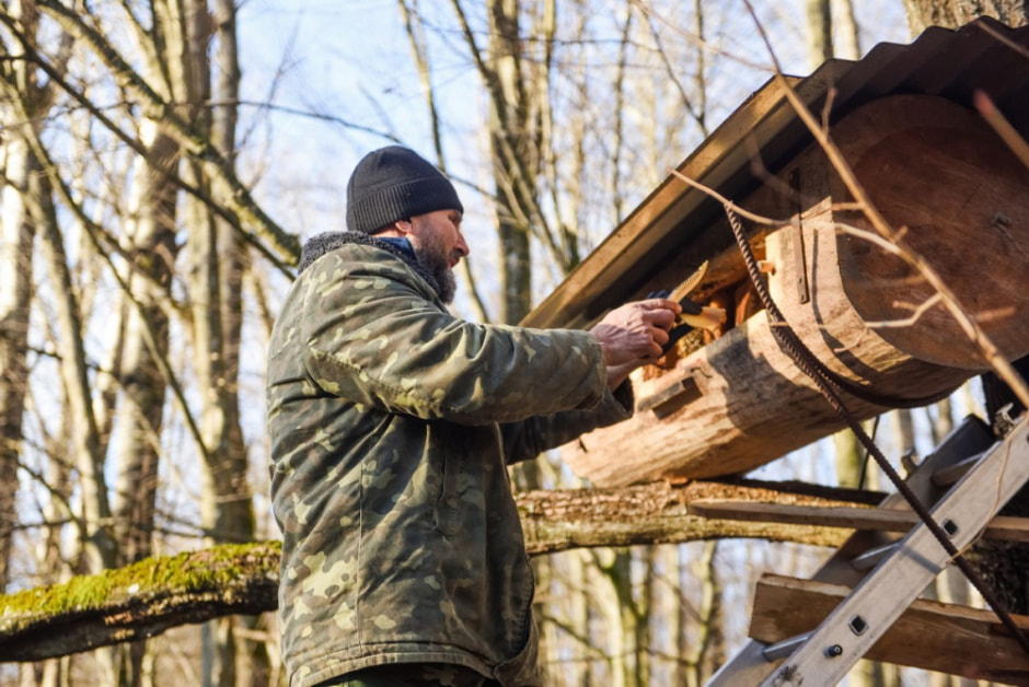 Как бортник спасает на Полесье черных пчел 1.jpg