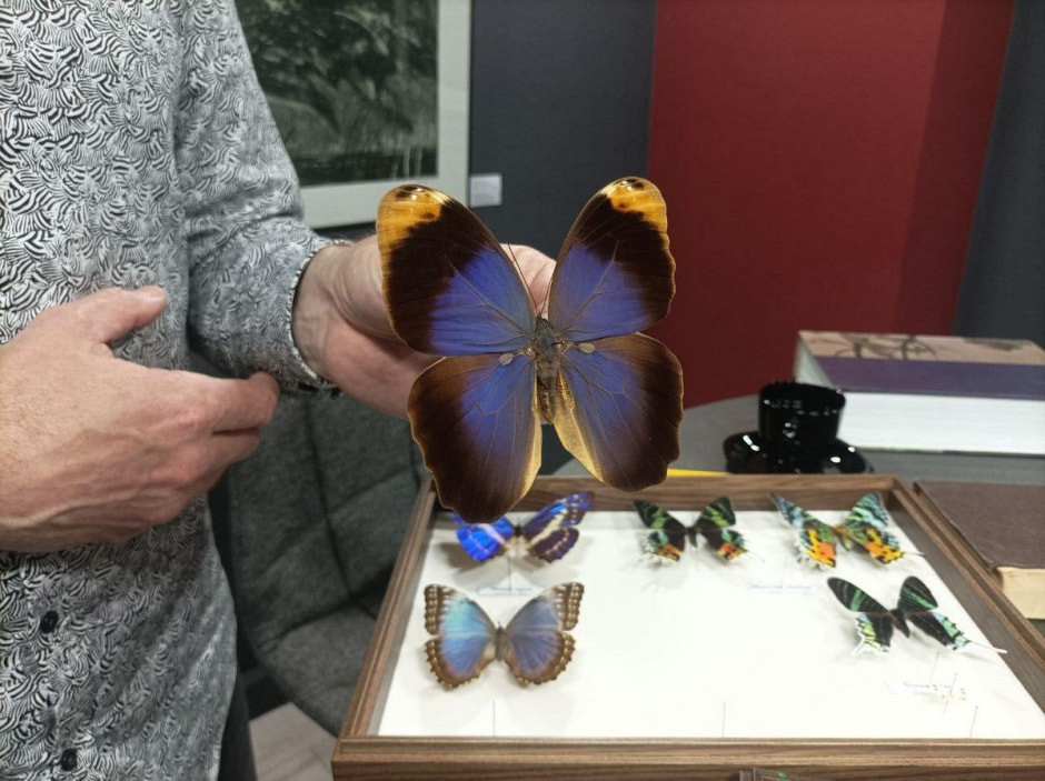 Белорусские бабочки 3.jpg