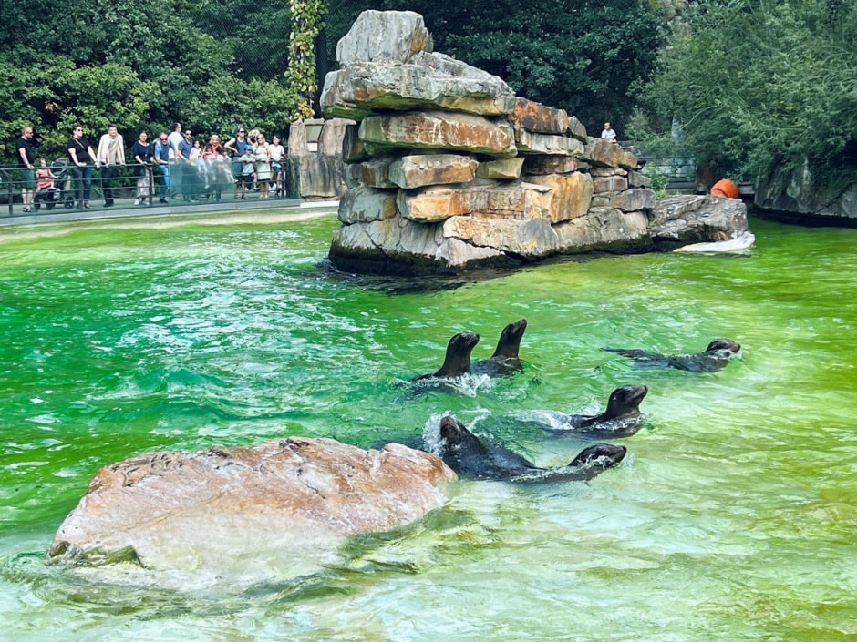 Берлинский зоопарк 17.jpg