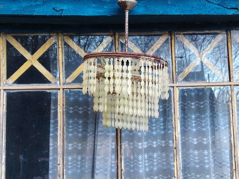 Как бортник спасает на Полесье черных пчел 8.jpg