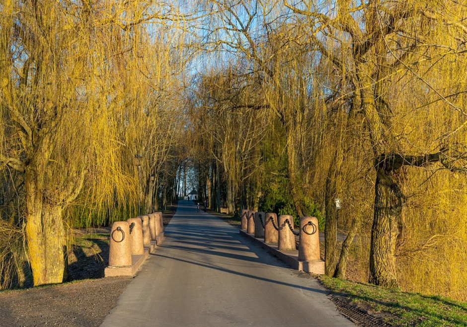 Несвижский замок и окрестности 5.jpg