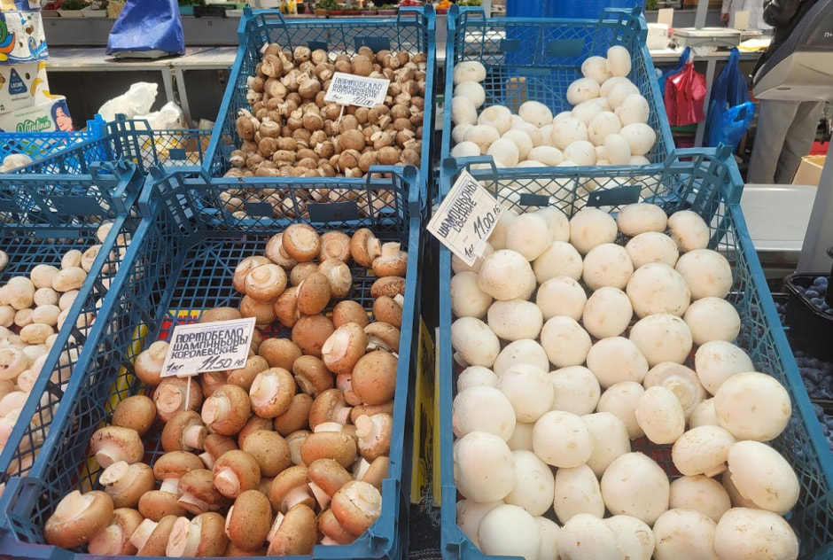 шампиньоны королевские