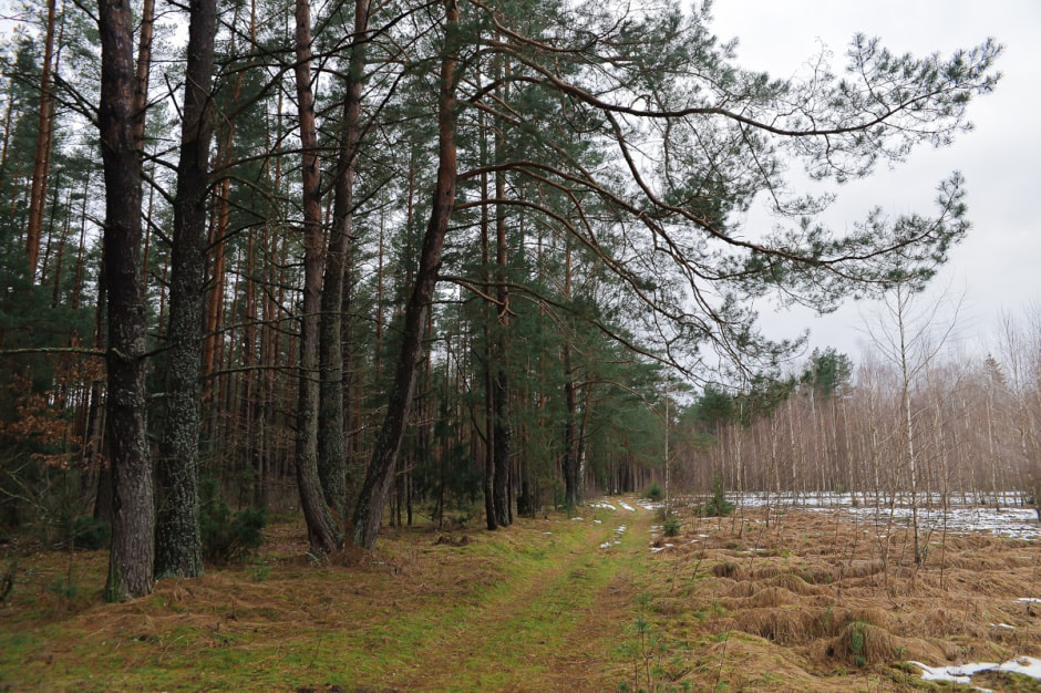 Хата на болоте 24.jpg