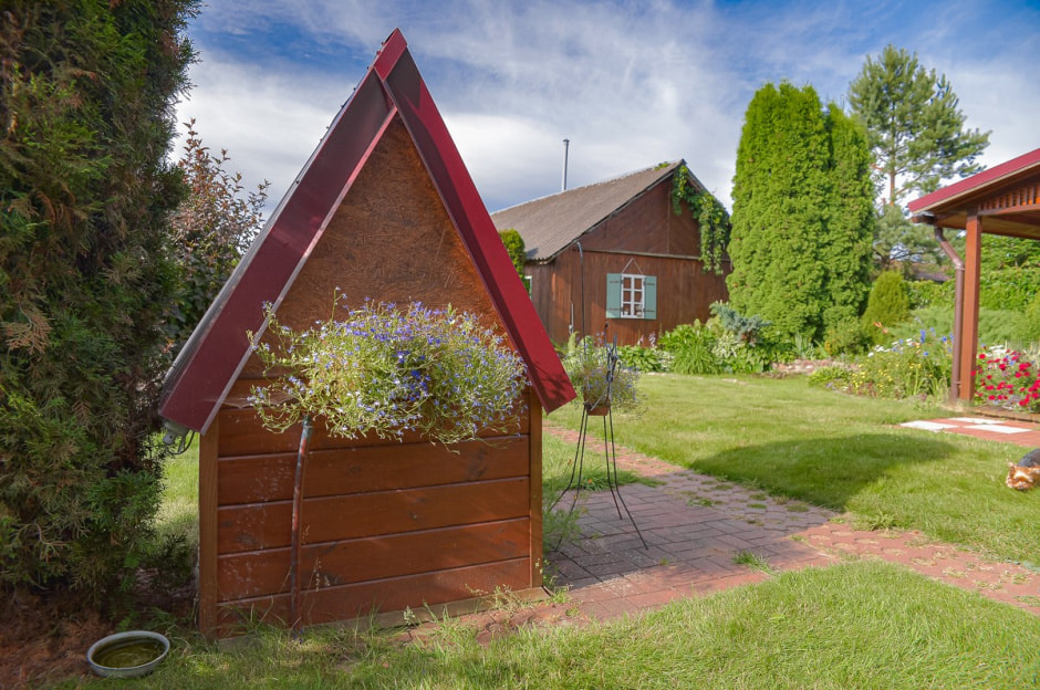 Лавандовый сад в Барово 20.jpg